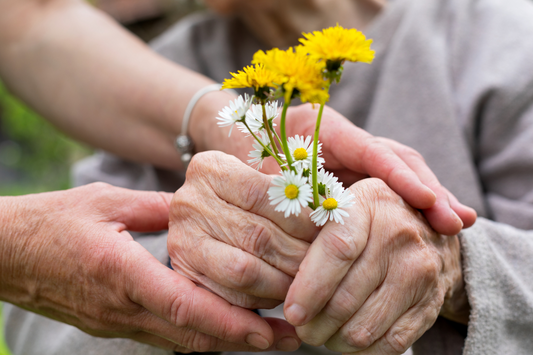 Cannabis and Alternative Therapies for Palliative Care: A Quick Reference