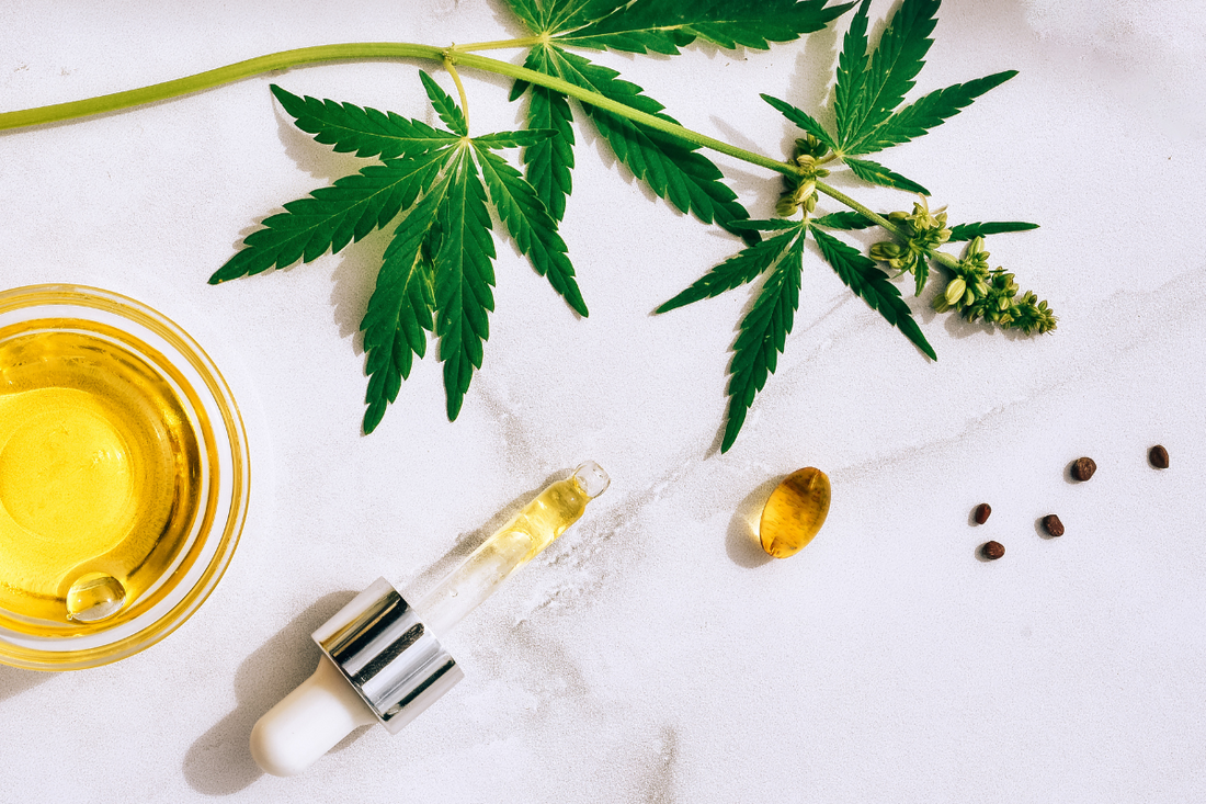 Understanding THC vs. CBD: How They Work Differently in the Body