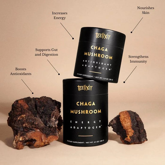 Chaga Mushroom