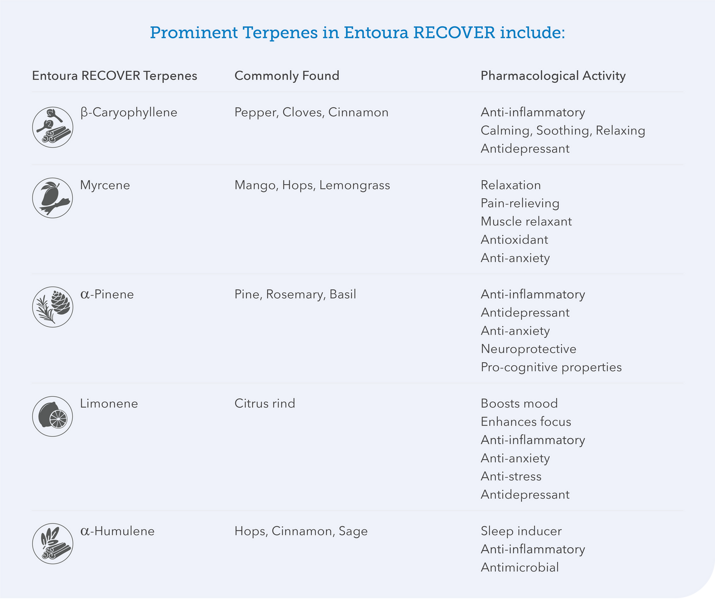 Entoura Terpenes RECOVER Terpene Blend 30ml