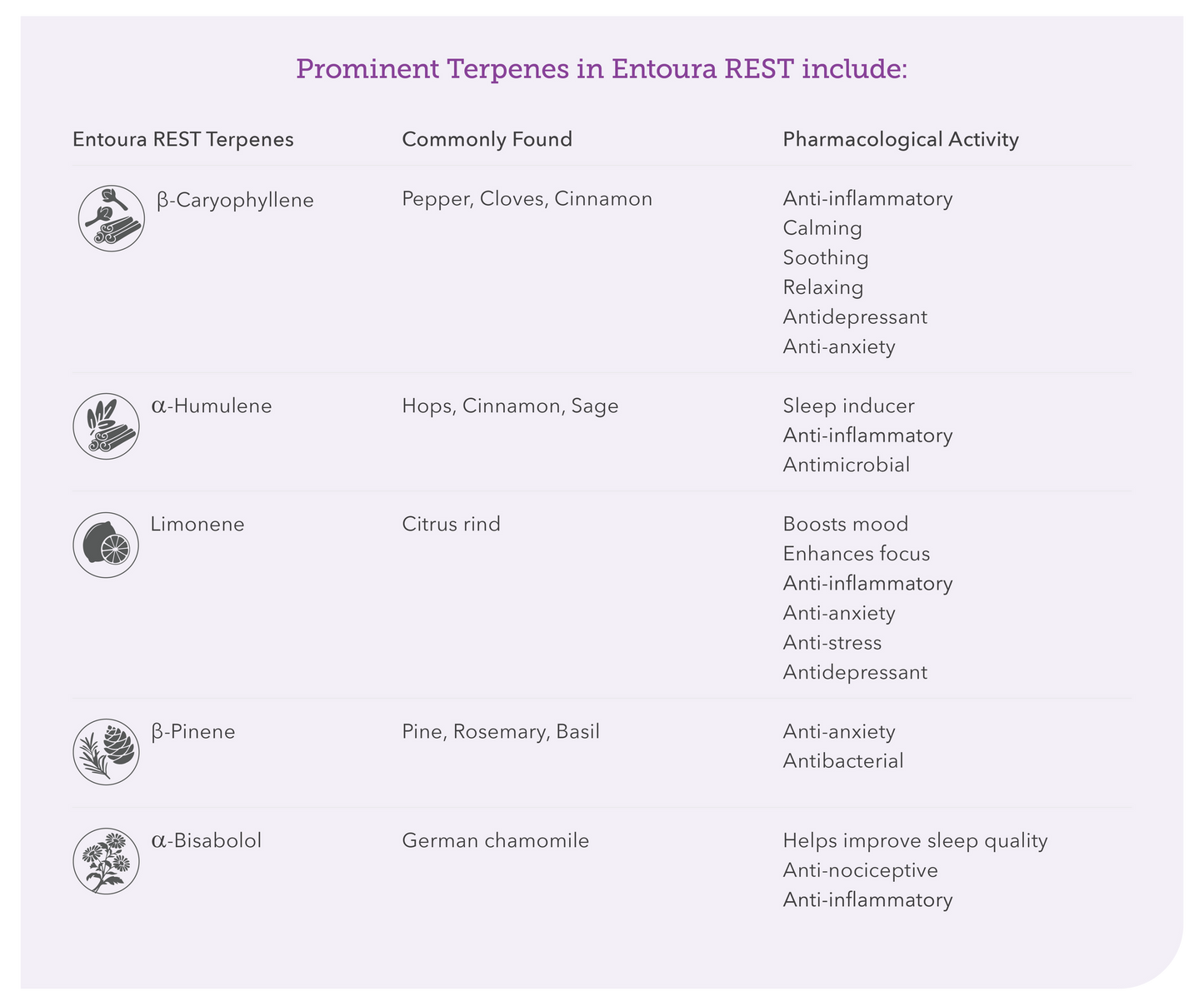 Entoura Terpenes REST Terpene Blend