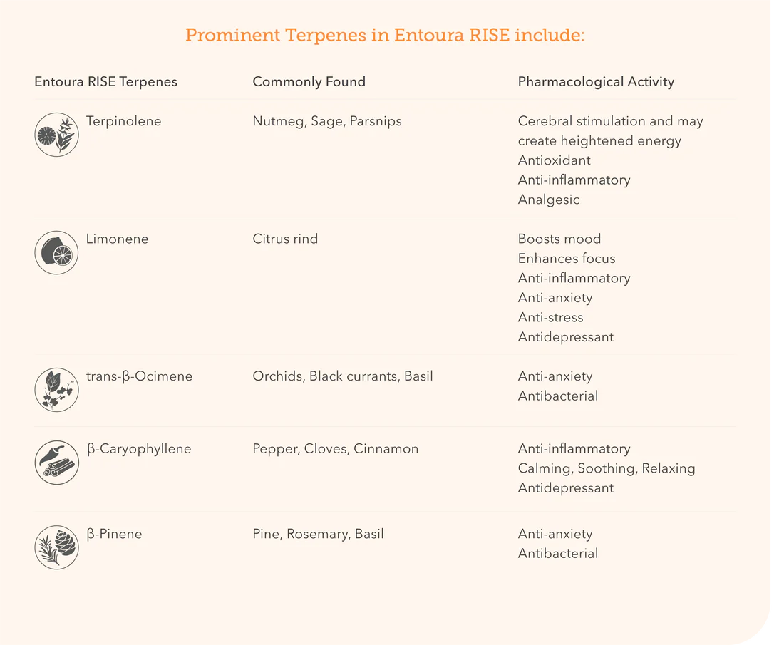 Entoura Terpenes RISE Terpene Blend 30ml